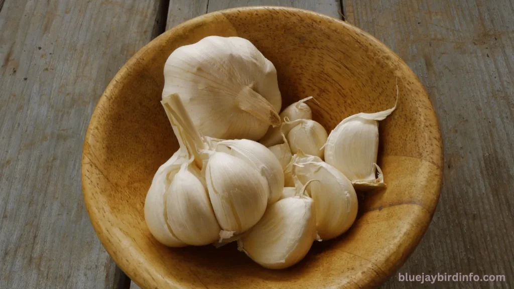 Do Fresh Garlic Cloves Keep Blue Jays Away? (Answered) 2 Do Fresh Garlic Cloves Keep Blue Jays Away
