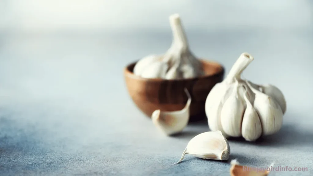 Do Fresh Garlic Cloves Keep Blue Jays Away? (Answered) 3 Do Fresh Garlic Cloves Keep Blue Jays Away