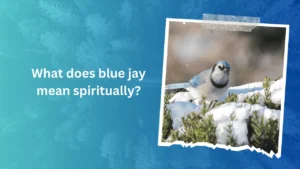 What does blue jay mean spiritually